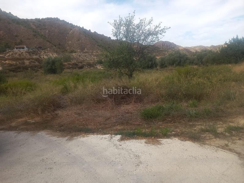 Foto 12116dae-631c-4da8-9260-8282da361929. Propriété dans Beniaján Murcia