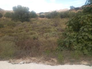 Rural plot in Beniaján