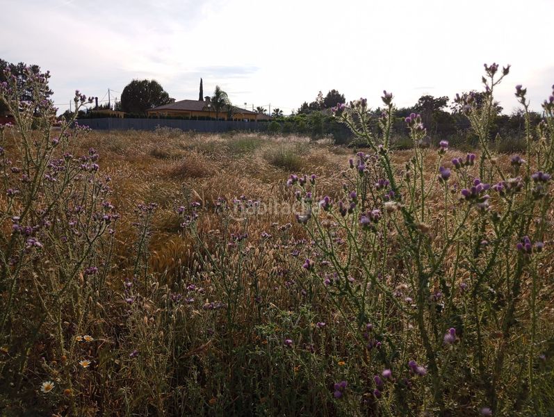 Foto 104077d8-7495-451f-98b8-0d5fcfeb9c89. Finca rústica a Sangonera la Seca Murcia