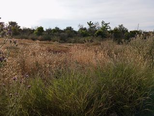 Finca rústica en Sangonera la Seca. Venta terreno rustico en sangonera la seca