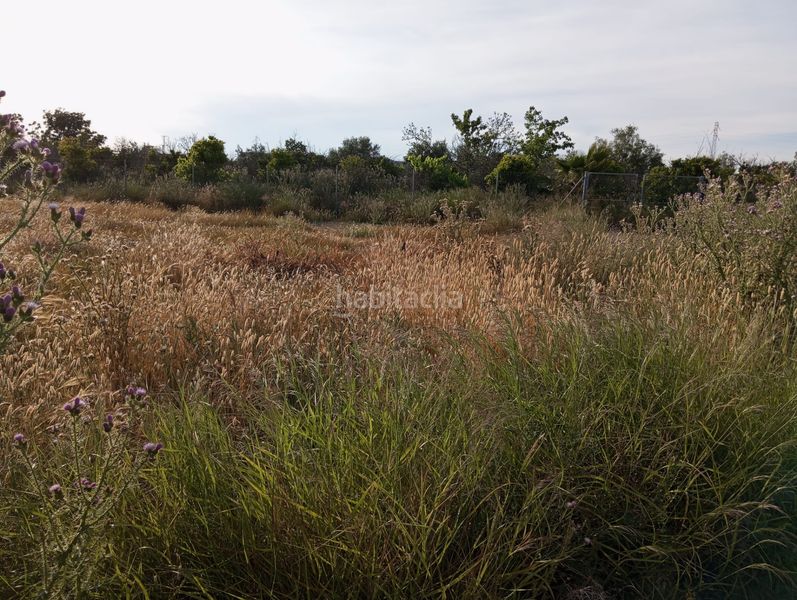 Foto 5f75e278-9561-418f-bf37-e4750cde4f0b. Finca rústica a Sangonera la Seca Murcia