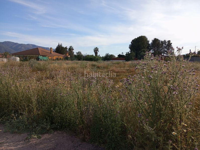 Foto 79a12c40-c2ba-467e-86bc-d9ed4a516192. Finca rústica a Sangonera la Seca Murcia