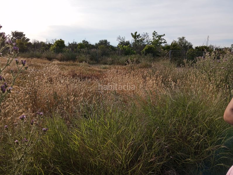 Foto 8ee75e40-560e-41d6-9872-428c72839a99. Finca rústica a Sangonera la Seca Murcia