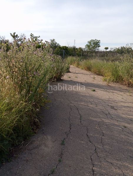 Foto a49b4b60-217e-4f97-811a-938fe175e1a0. Finca rústica a Sangonera la Seca Murcia