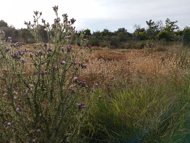 Foto f0960ff3-0617-4469-b400-006847dd88e8. Finca rústica a Sangonera la Seca Murcia