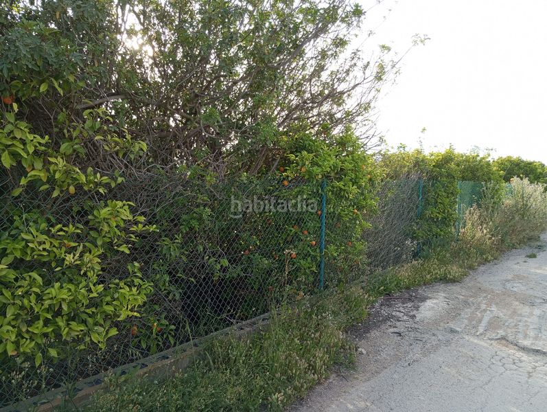 Foto 1bdc6f8d-85f1-4a0e-8f63-0cde9b7d1f89. Finca rústica a Sangonera la Seca Murcia