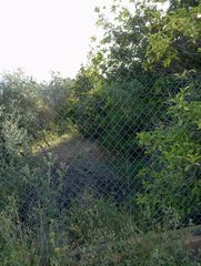 Finca rústica en Sangonera la Seca. Venta terreno en sangonera la seca