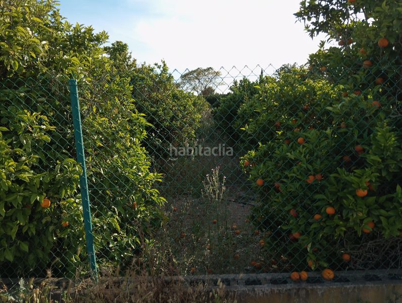 Foto f312144b-6cac-4746-84f2-959837926756. Finca rústica a Sangonera la Seca Murcia
