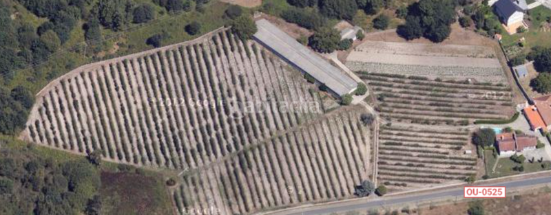 Foto d7f5871a-98e7-4846-a39c-135293268644. Finca rústica en carretera amoeiro de a cabeanca 0 en Ourense