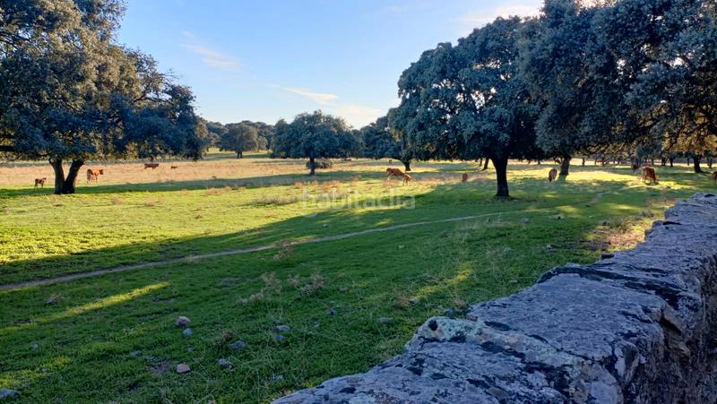 Foto 9f948a63-a5a5-4e97-b7dc-6ef8437eed33. Flat with heating parking pool in El Guijo-Colonia España Galapagar