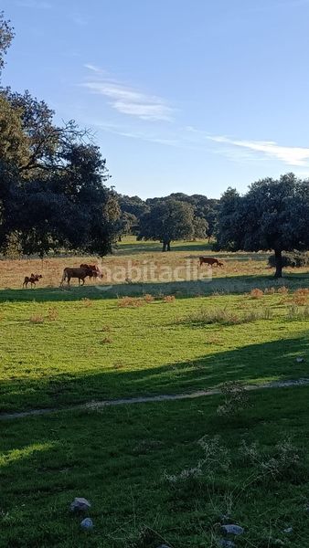 Foto 1545cf71-2920-48d9-9b58-7469087fc0b1. Casa adossada amb xemeneia calefacció piscina a El Guijo-Colonia España Galapagar
