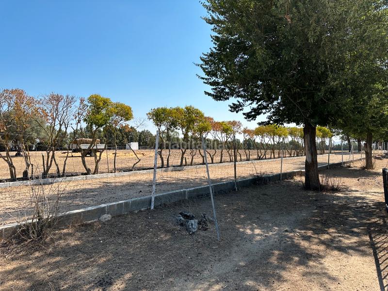 Foto 43c2afe0-027e-4c3b-8062-ac4ccae230c2. Mas avec cheminée chauffage piscine dans Cubas de la Sagra