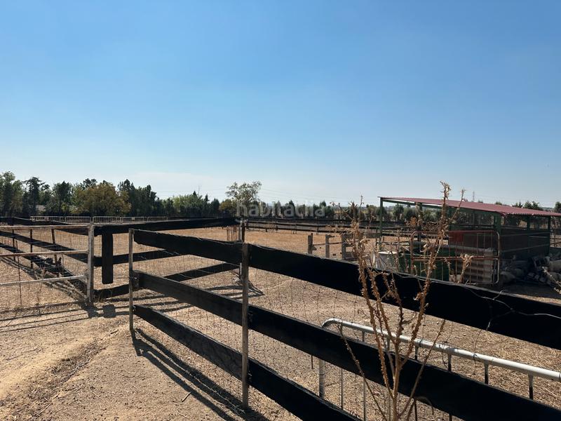 Foto a5869ea3-f924-4e9c-b1cc-69757dac9ec3. Mas avec cheminée chauffage piscine dans Cubas de la Sagra