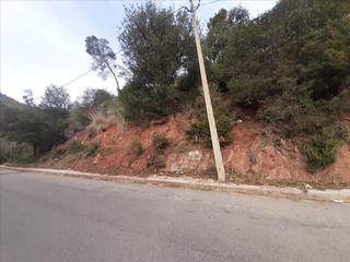 Terreny residencial a Carrer 24 20. Amplia parcela de 829m2