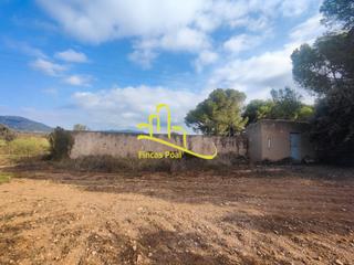 Fondo rustico  Arrabal plan parcial 3 9. Luz - agua - 460 olivos - construccion agraria 100m2