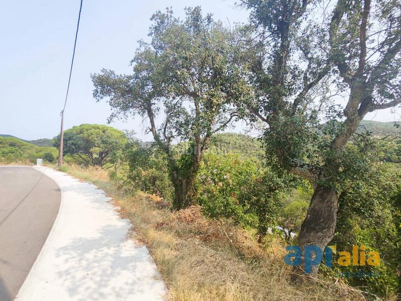 Foto a91c2eaf-28d9-408a-b54e-3bde8b008bfa. Residential plot in Mas Pere-Río de Oro Calonge