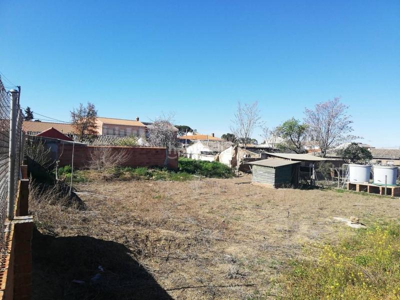 Foto ea048a2a-71da-453b-b086-cac450c528d7. Terreny residencial a Layos