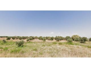 Finca rústica  Poligono rustica-4. Terreno en venta en olías del rey