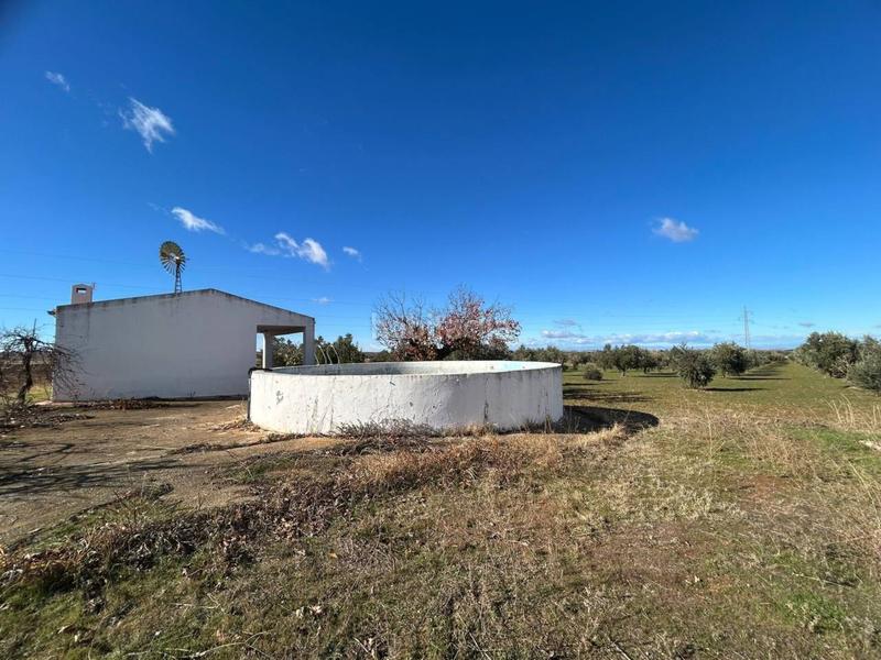Foto 10d8dfe8-a1d8-4a5a-b28c-f67a3ded8080. Finca rústica finca rustica en venta en Burguillos de Toledo
