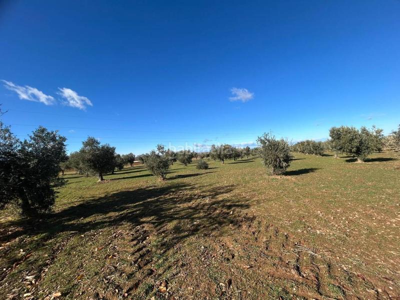 Foto 85f8843e-d517-422d-a1c9-81d7ce92d070. Finca rústica finca rustica en venta en Burguillos de Toledo