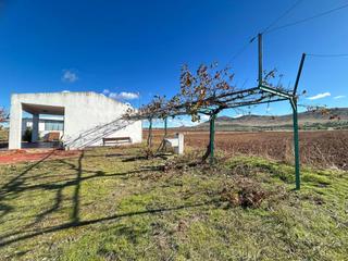 Rural plot in Burguillos de Toledo. Finca rustica en venta en burguillos de toledo