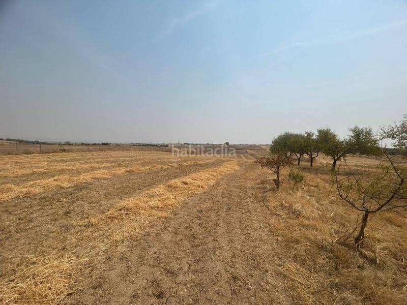 Foto 2c874fc3-8adc-4e3b-a683-4037bb19c765. Finca rústica a Olías del Rey