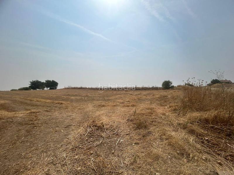 Foto 716ffbaf-9f4d-455f-a00d-96ae54ac4377. Finca rústica a Olías del Rey