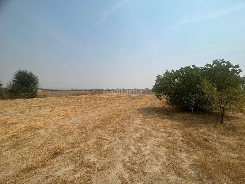 Foto 8e6e55c5-4e0c-4c12-9381-0914c7bf31a8. Finca rústica a Olías del Rey