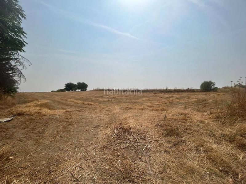 Foto ba0e7e7a-a6ac-433f-82f6-cfe9d3968eef. Finca rústica a Olías del Rey