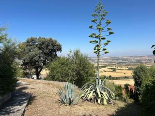 Finca rústica  El clavin. Parcela urbana de1.115m2 en urbanización el clavin  oportunidad