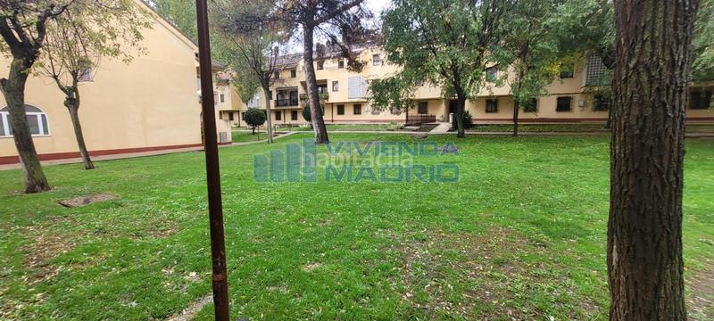 Foto 3cec0ab5-959c-4183-bff6-5ed6b4910372. Casa amb calefacció piscina a Talamanca de Jarama