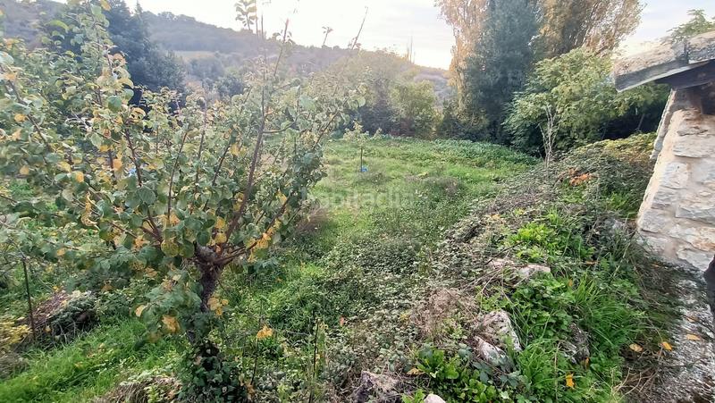 Foto e1e0cab5-07b3-4747-bb27-ba6484c9a1a6. Casa necesita mejoras en Pareja