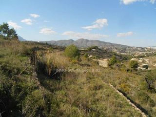 Rural plot in Maryvilla. Terreno rústico para construir