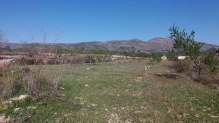 Rural plot in Manzanera-Tosal. Parcela llana con vistas a la montaña