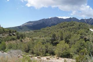 Propriété à Hondón de los Frailes. Terreno construible