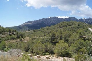 Finca rústica a Hondón de los Frailes. Terreno construible