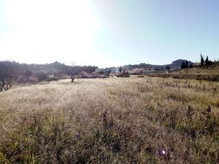 Finca rústica a Benissa Pueblo. Parcela buena para construir una casa