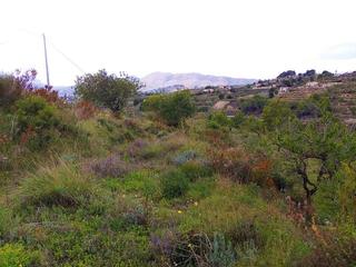 Residential Plot in Benissa Pueblo