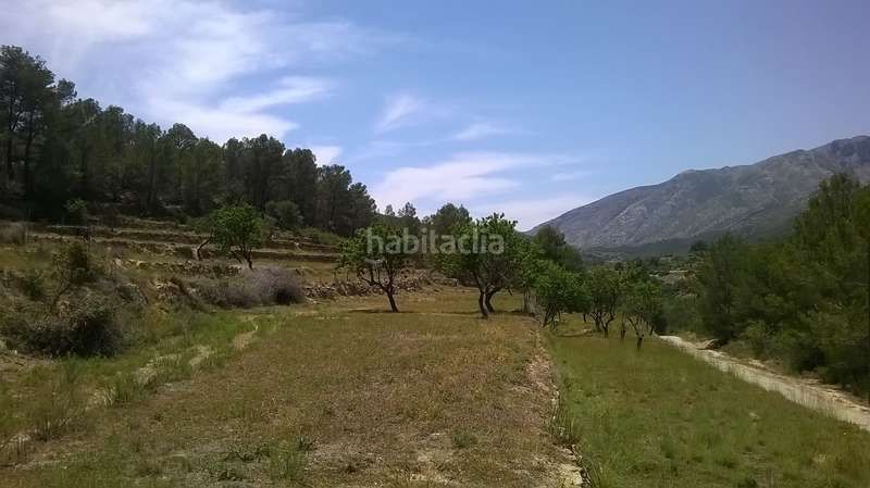Foto d2bd355d-1008-48f3-9461-8e2e62148c05. Finca rústica a Benissa pueblo Benissa