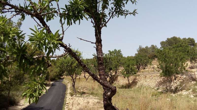 Foto eac0c1da-dd94-450f-875f-ce6c89dfeaae. Finca rústica a Benissa pueblo Benissa