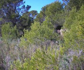 Rural plot in Benissa Pueblo