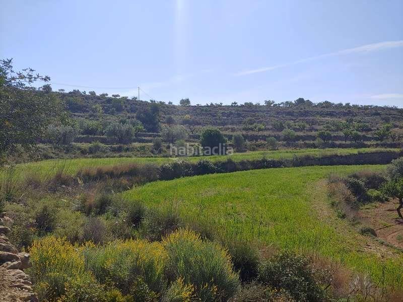 Foto 2d4d0b3c-f19a-445d-983d-9a10055bf29f. Propriété dans Benissa pueblo Benissa