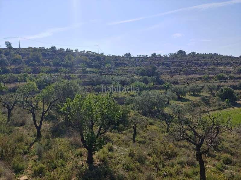 Foto 9b588a65-6651-4a44-88d5-016c189bd587. Propriété dans Benissa pueblo Benissa