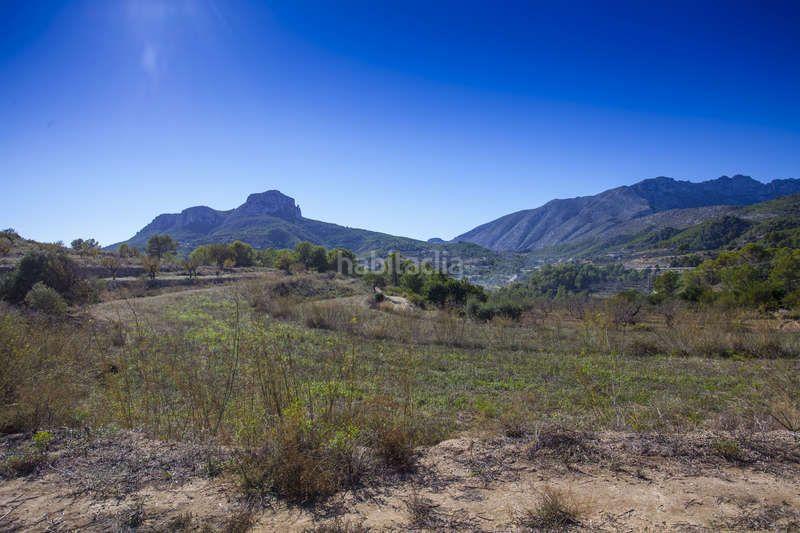 Foto 956e5aaa-1474-4b3b-8850-a84489af3544. Rural plot in Benissa pueblo Benissa