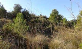 Residential Plot in Benissa Pueblo
