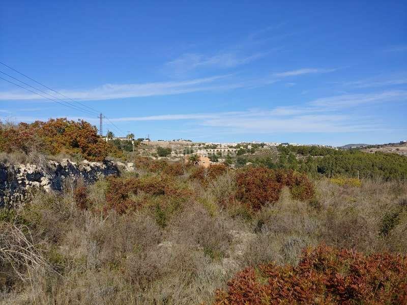 Foto 4297069f-21f4-4b8b-b7b0-d574c56c6860. Fondo rustico in Benissa pueblo Benissa