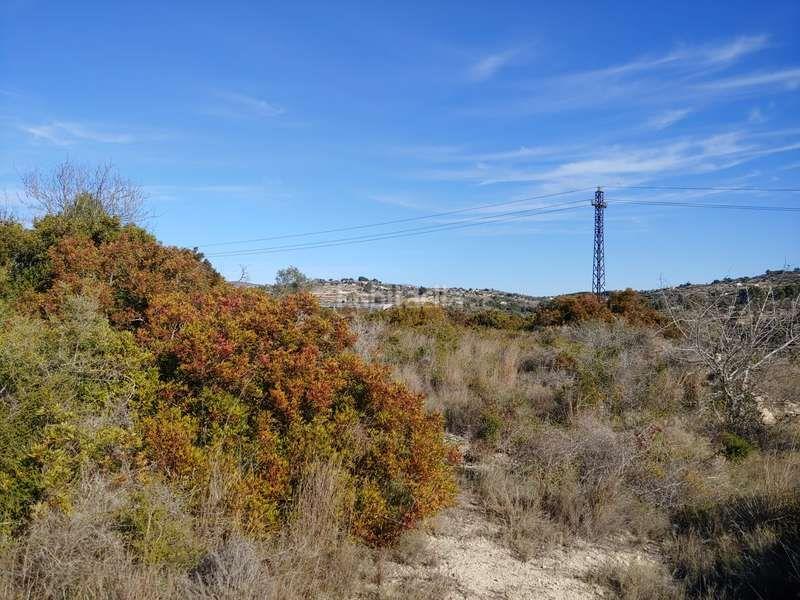 Foto 4b74671c-40d7-458c-a92f-4f9470449a55. Rural plot in Benissa pueblo Benissa
