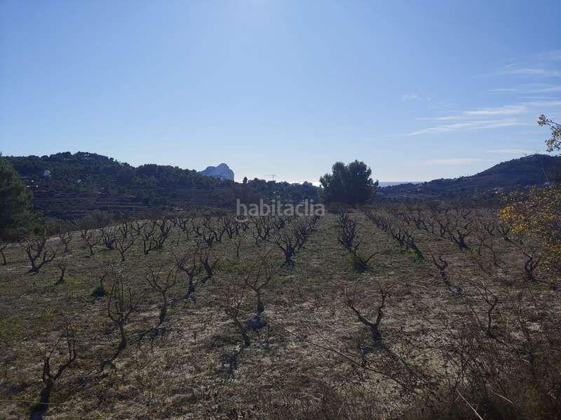 Foto efc59a4d-95e9-4788-9c8d-f842a68a00cd. Rural plot in Benissa pueblo Benissa