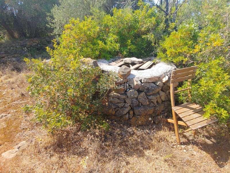 Foto 241d673b-7936-45f1-b482-7923cef35164. Fondo rustico in Benissa pueblo Benissa