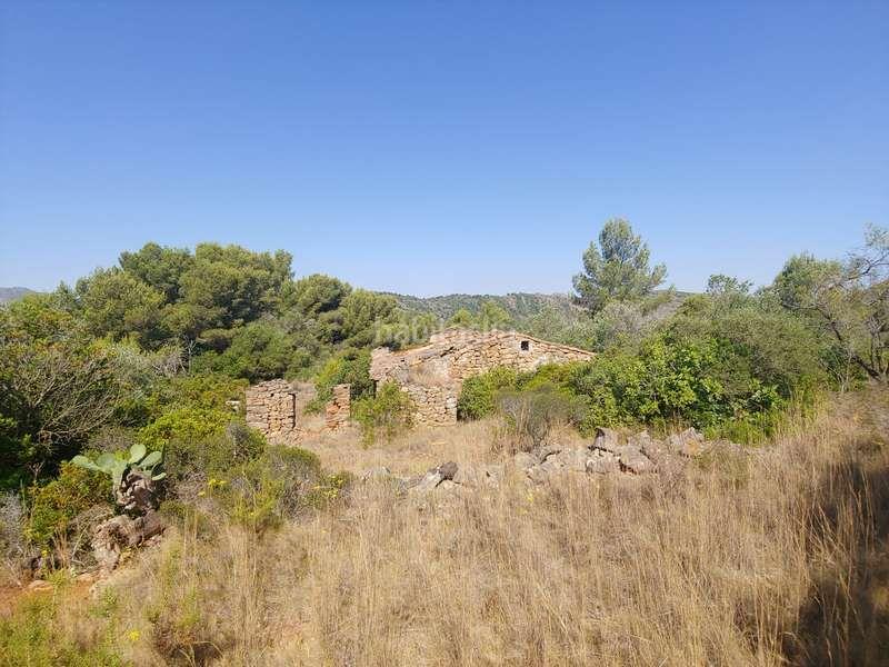 Foto 2e1f9b7f-94a0-441c-a652-3a93e90e39bd. Fondo rustico in Benissa pueblo Benissa